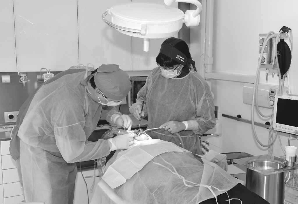 Soluciones dentales para personas con poco hueso en Terrassa